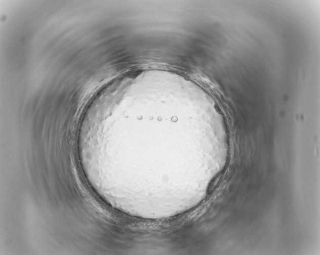 X0000088620049200706221505