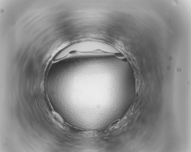 X0000088620050200706221505