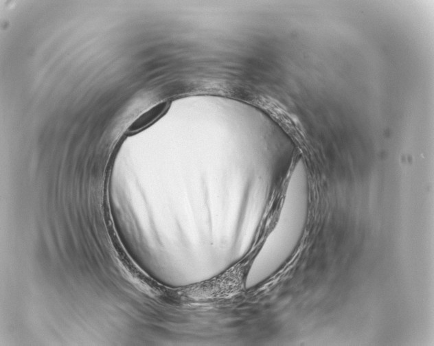 X0000088620051200706221505