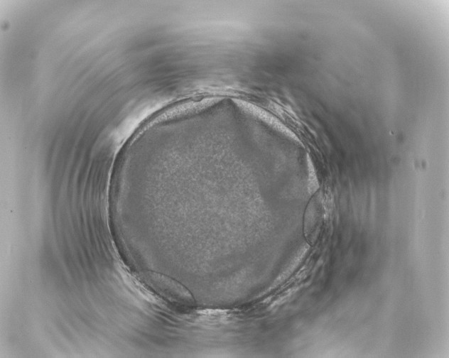 X0000088620052200706221505