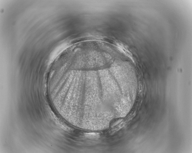 X0000088620053200706221505