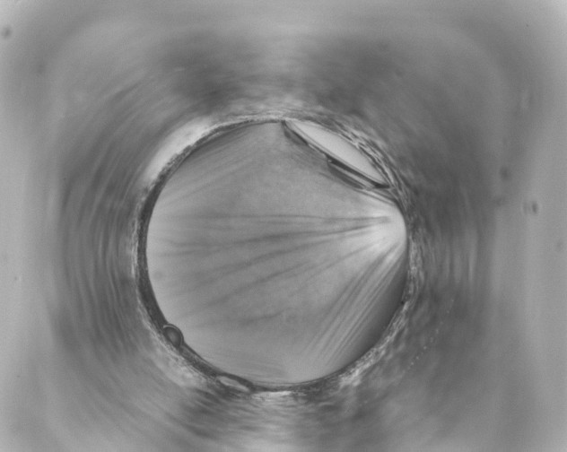 X0000088620054200706221506