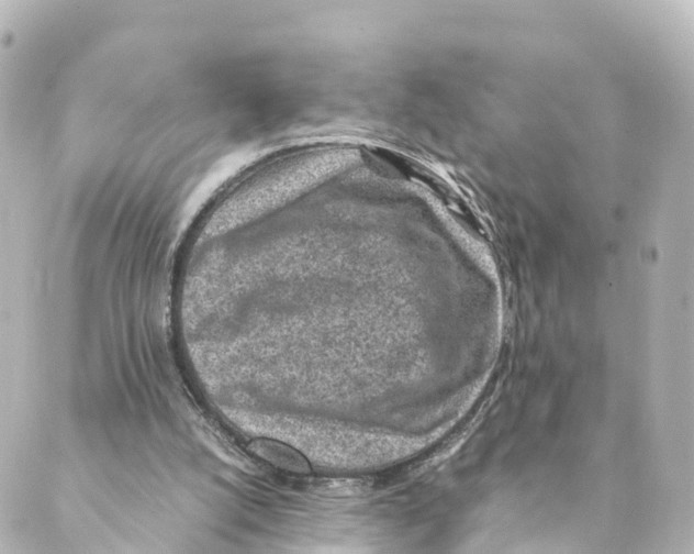 X0000088620056200706221506