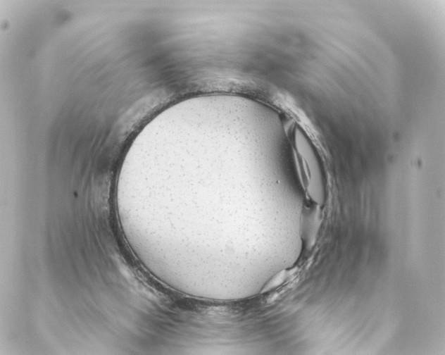 X0000088620058200706221506