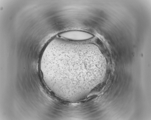 X0000088620060200706221506