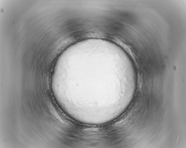 X0000088620061200706221506