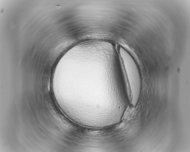 X0000088620062200706221506