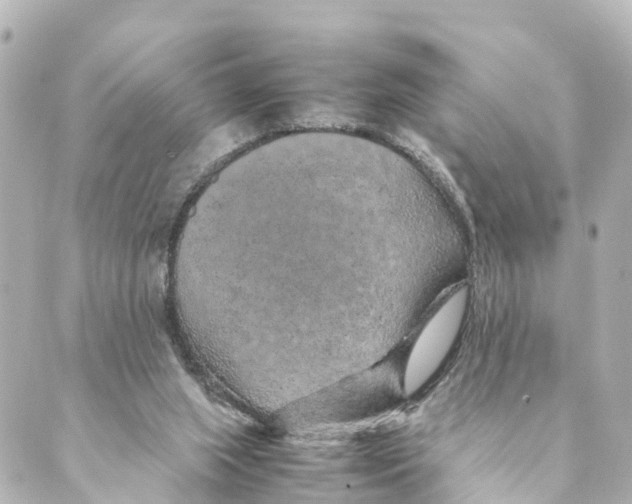 X0000088620063200706221506