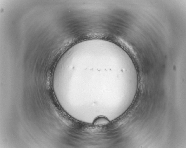 X0000088620065200706221506