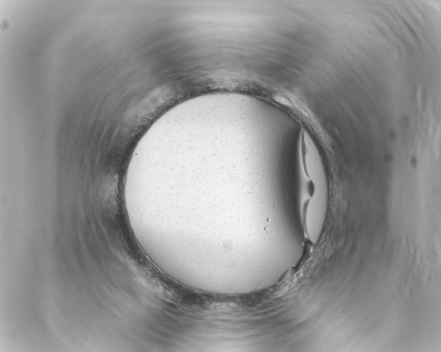 X0000088620066200706221506