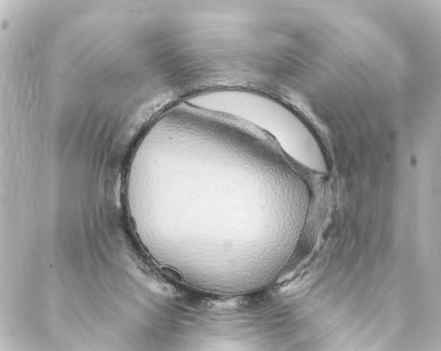 X0000088620068200706221506