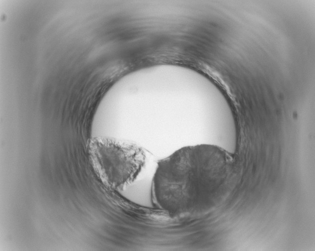 X0000088620069200706221506