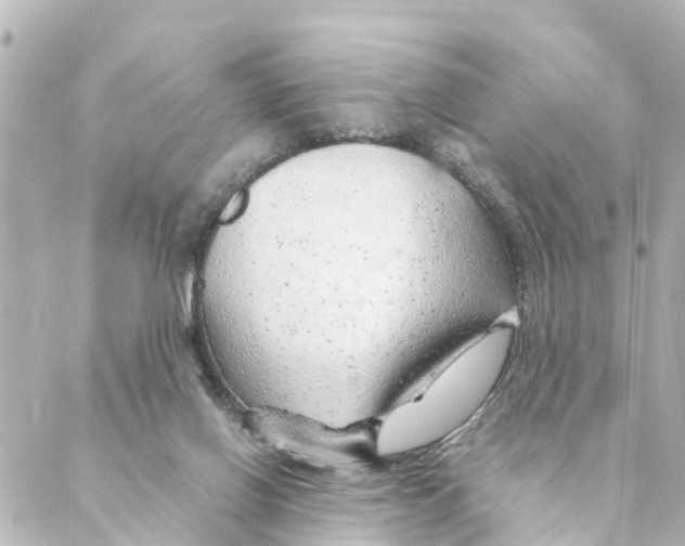 X0000088620070200706221506