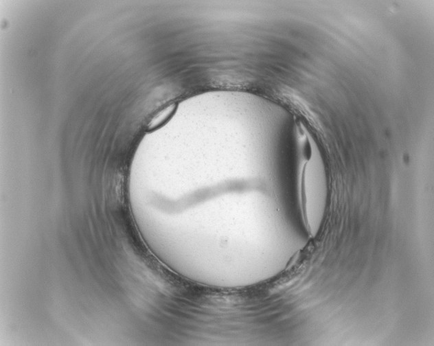 X0000088620071200706221506