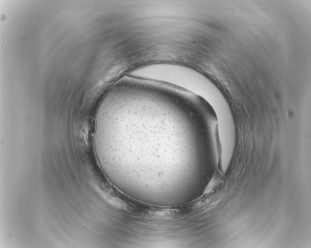 X0000088620072200706221506