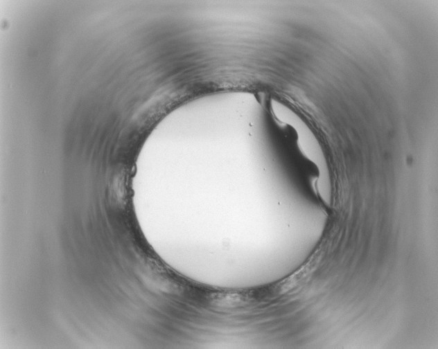 X0000088620074200706221506