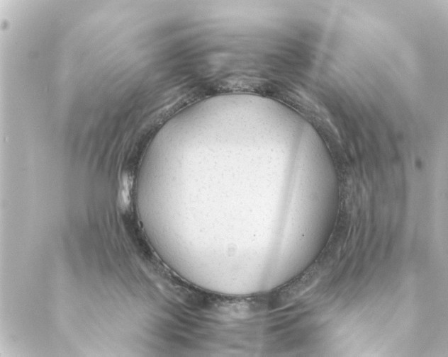 X0000088620075200706221506