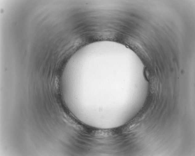 X0000088620077200706221506