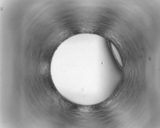 X0000088620079200706221506