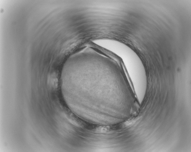 X0000088620080200706221506