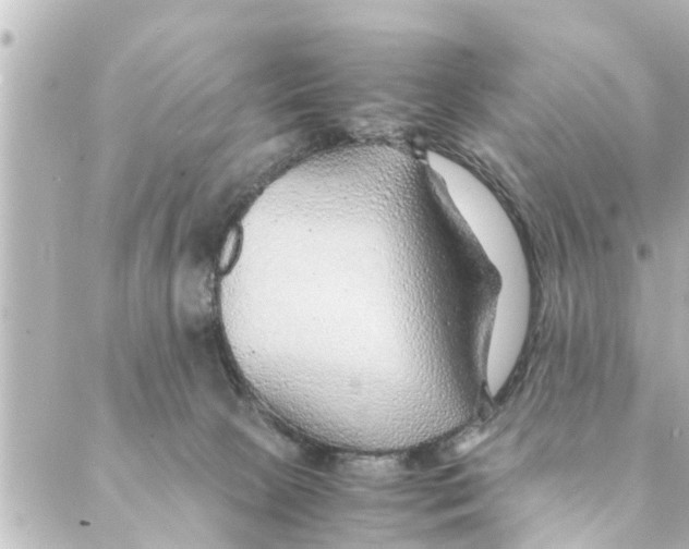 X0000088620081200706221506