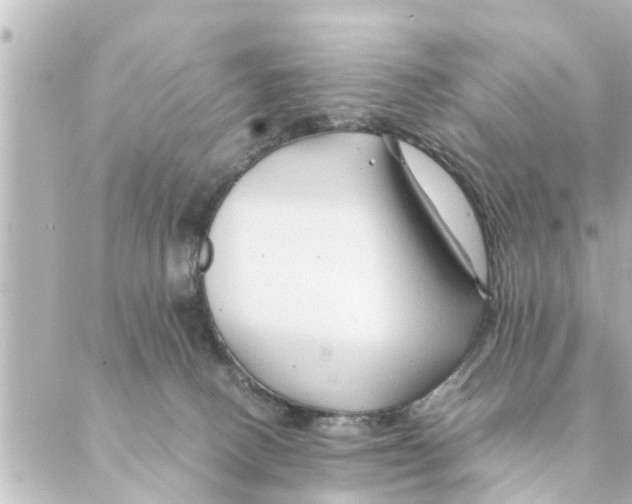 X0000088620082200706221506