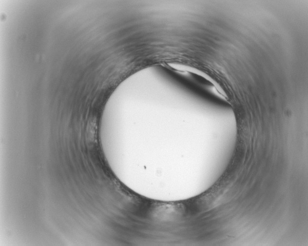 X0000088620083200706221506