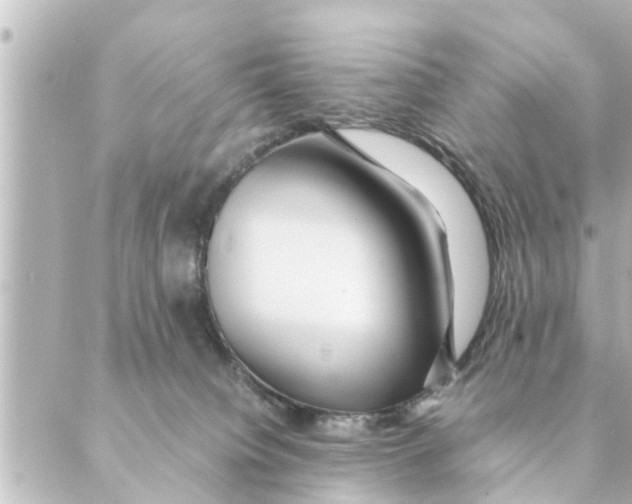 X0000088620084200706221506