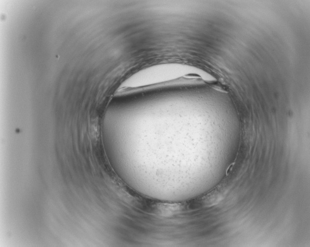 X0000088620085200706221506