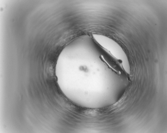 X0000088620086200706221506