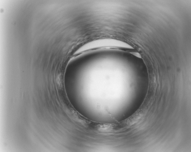 X0000088620088200706221506