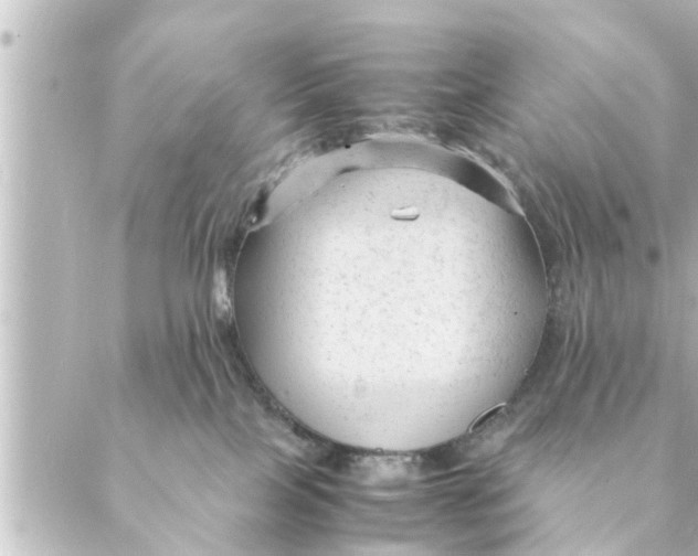 X0000088620089200706221506