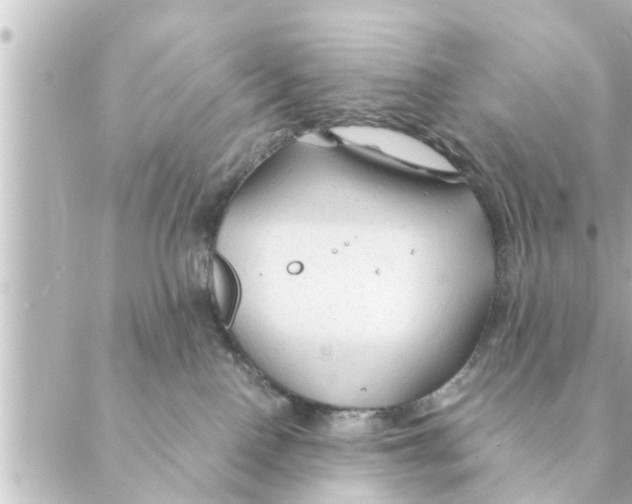 X0000088620090200706221506