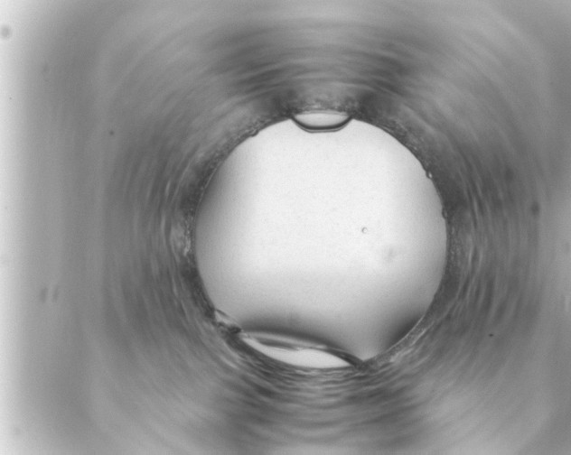 X0000088620091200706221506