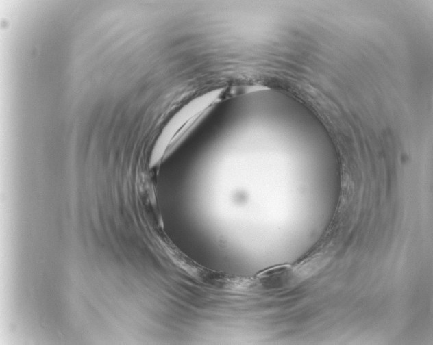 X0000088620096200706221506