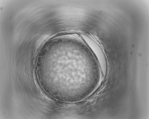 X0000088620097200706221505