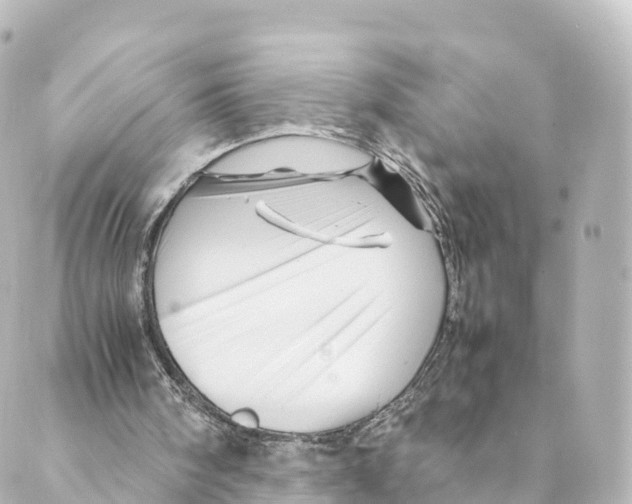 X0000088620098200706221505