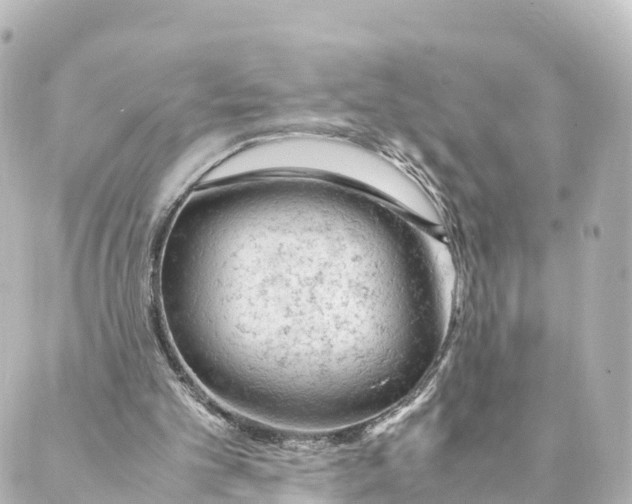 X0000088620101200706221505