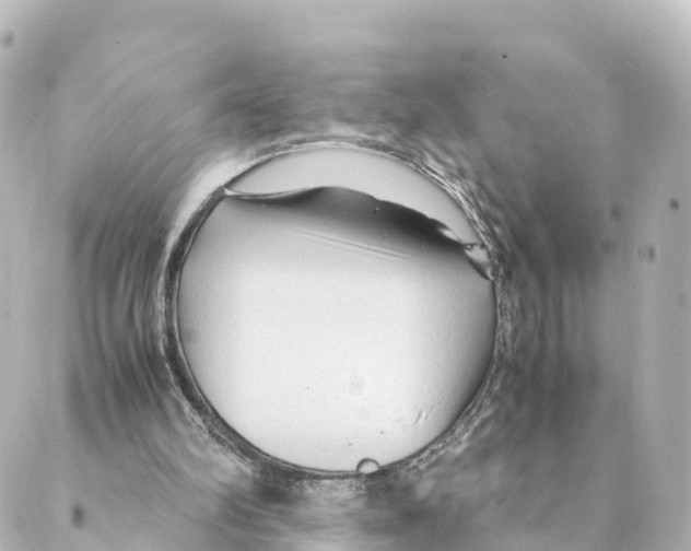 X0000088620102200706221505