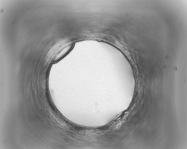 X0000088620103200706221505