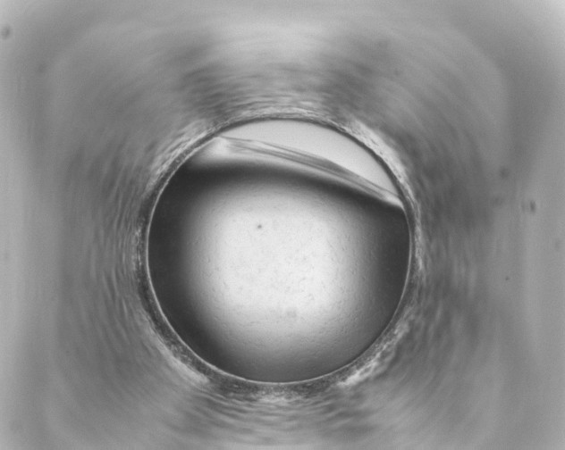 X0000088620105200706221505