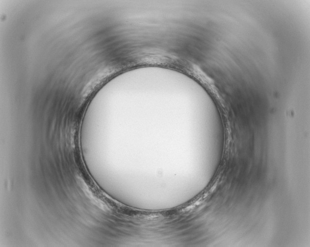 X0000088620106200706221505