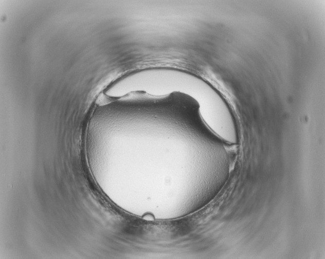 X0000088620107200706221505