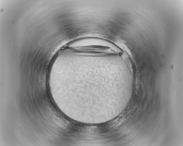 X0000088620108200706221505