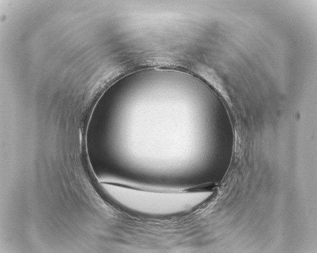 X0000088620109200706221505