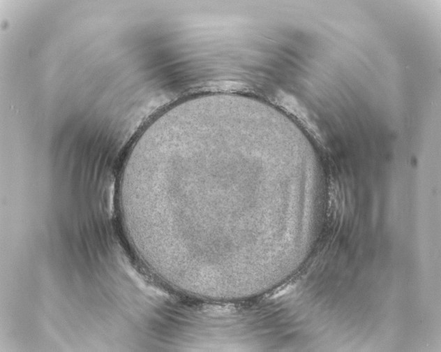 X0000088620110200706221505