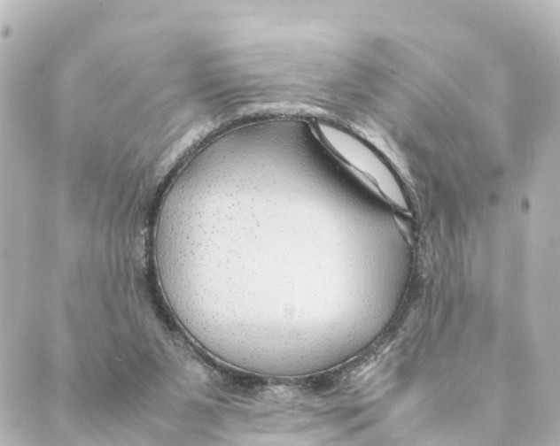 X0000088620111200706221505