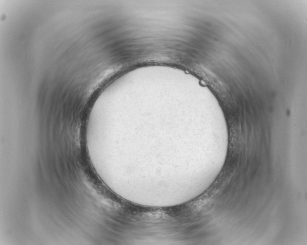 X0000088620112200706221505