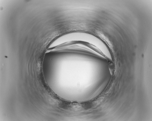 X0000088620113200706221505