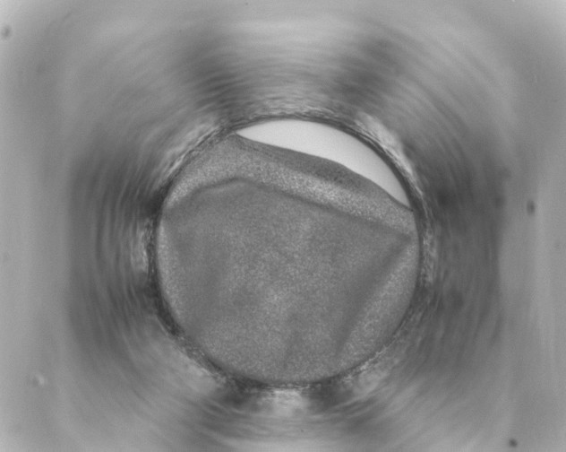 X0000088620114200706221505